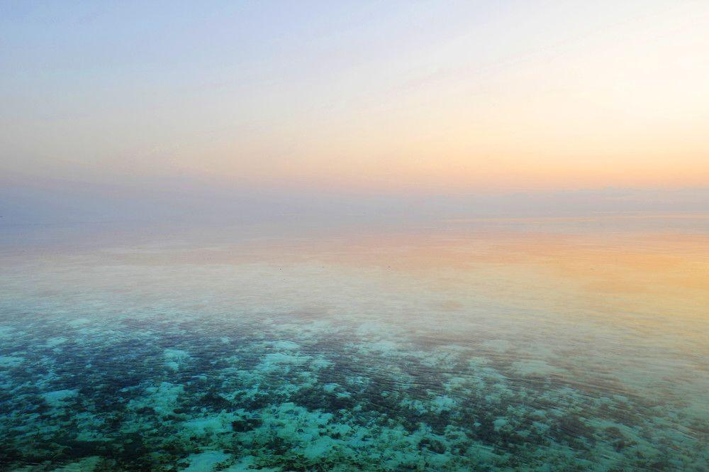 W Maldives