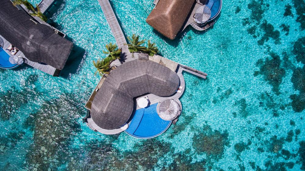 W Maldives Resort Fesdu Island