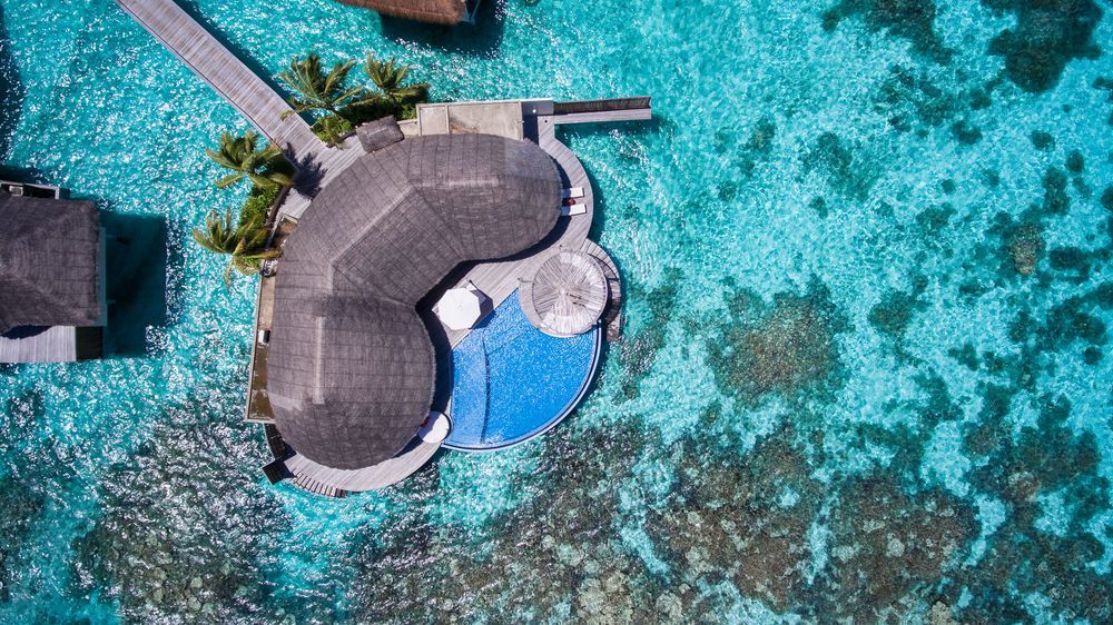 W Maldives Resort 5*